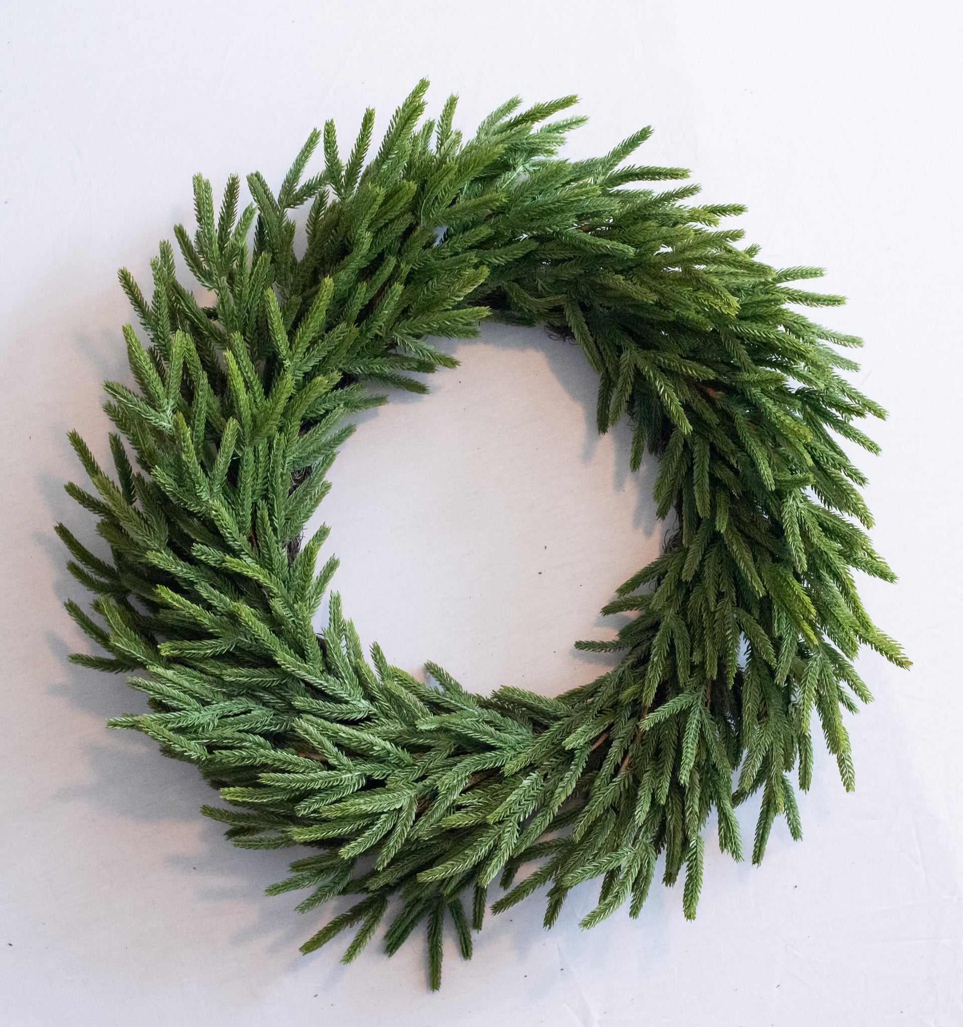 Vita Domi 30" Real Touch Norfolk Pine Wreath, Christmas Wreaths for front door outdoor, Green Wreath Christmas, Faux Cedar Wreath, Window Wreaths, Evergreen Wreath, Large Christmas Wreath w / 140 Tips