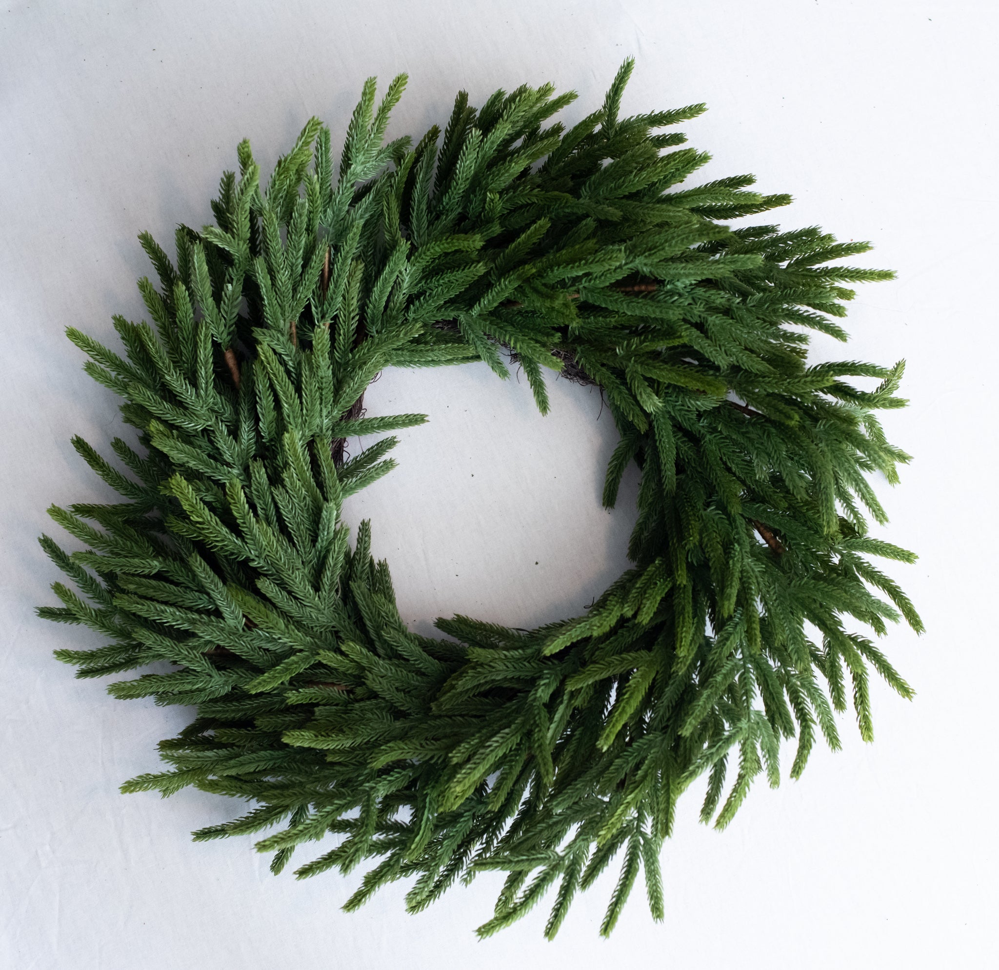 Vita Domi 24" Real Touch Norfolk Pine Wreath, Christmas Wreaths for Front Door 24 inch, Green Wreath Christmas, Faux Cedar Wreath, Window Wreaths, Evergreen Wreath, Norfolk Wreath, Chair Wreath w/ 120 Tips