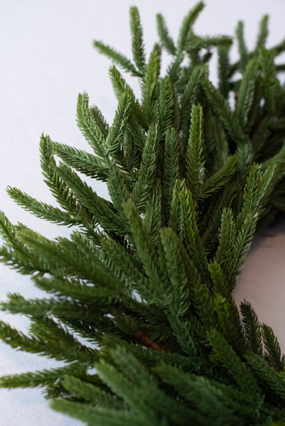Vita Domi 24" Real Touch Norfolk Pine Wreath, Christmas Wreaths for Front Door 24 inch, Green Wreath Christmas, Faux Cedar Wreath, Window Wreaths, Evergreen Wreath, Norfolk Wreath, Chair Wreath w/ 120 Tips